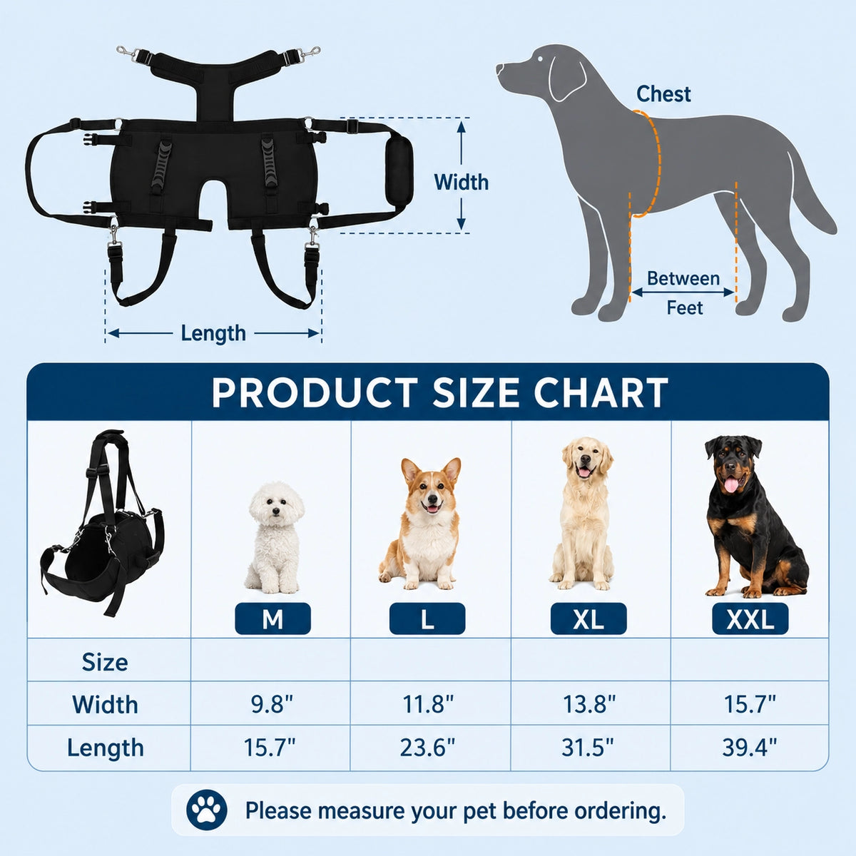 Multi-Handle Full-Body Lift Harness