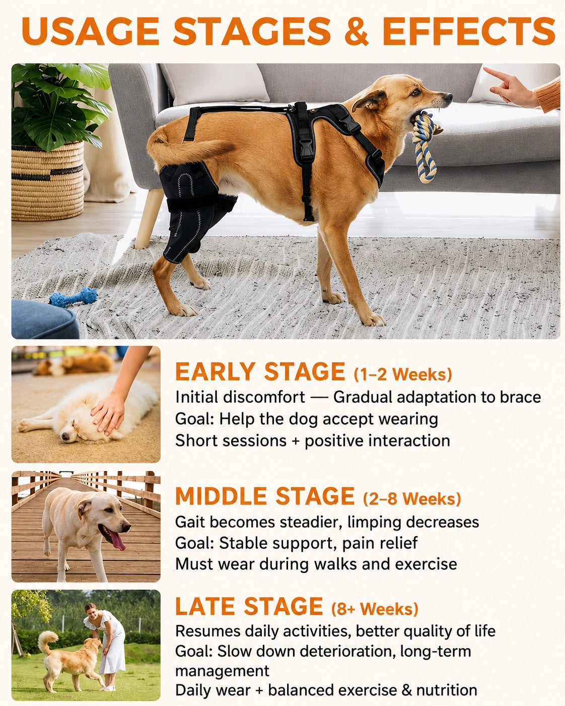 Reflective Dog Rear Leg Mobility Harness for ACL & Joint Care