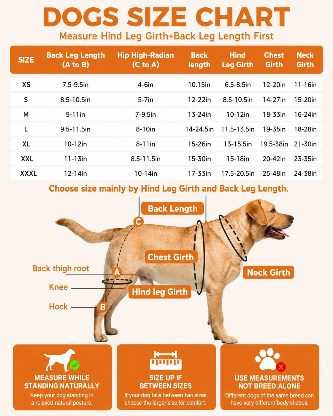 Reflective Dog Rear Leg Mobility Harness for ACL & Joint Care