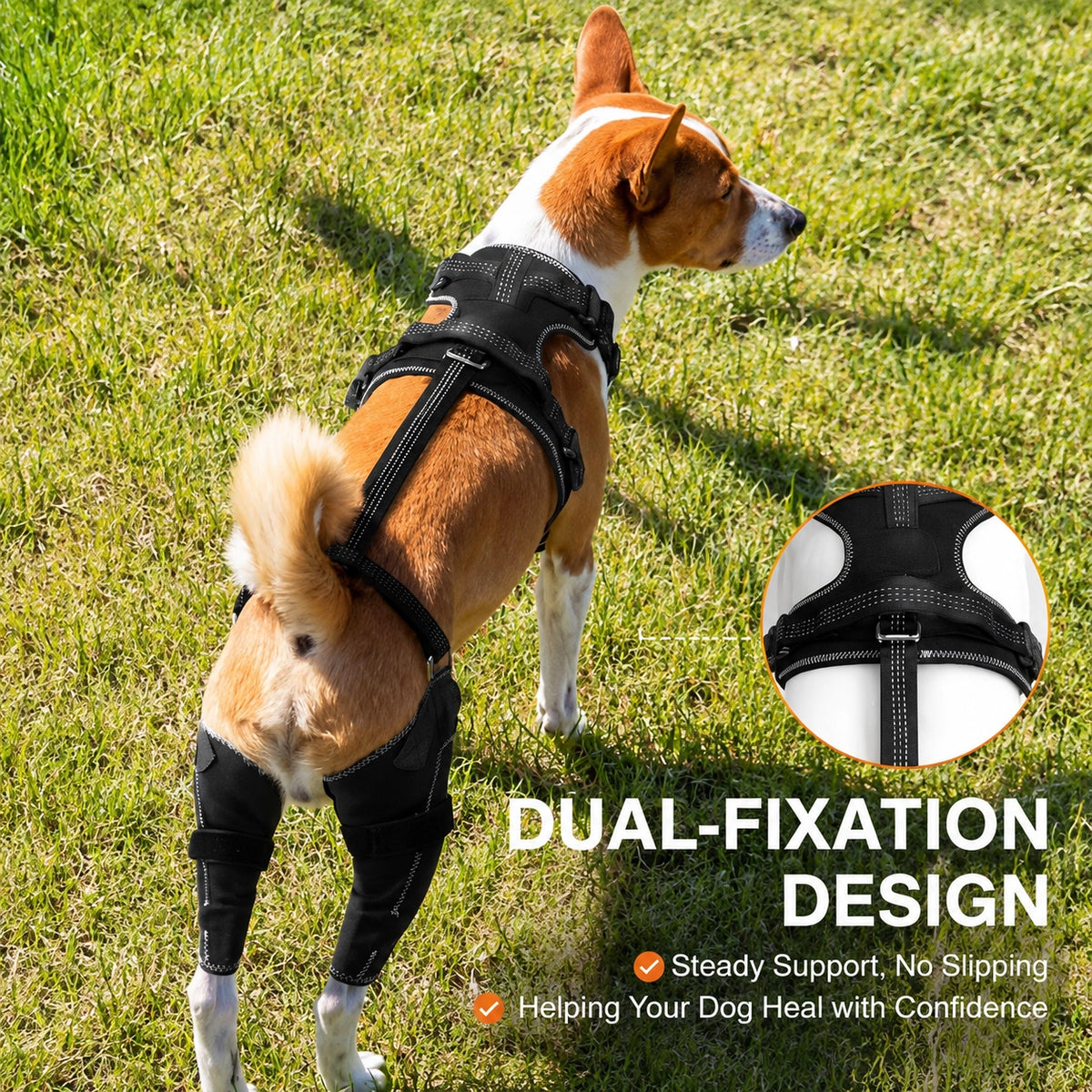 Reflective Rear Leg Support Harness