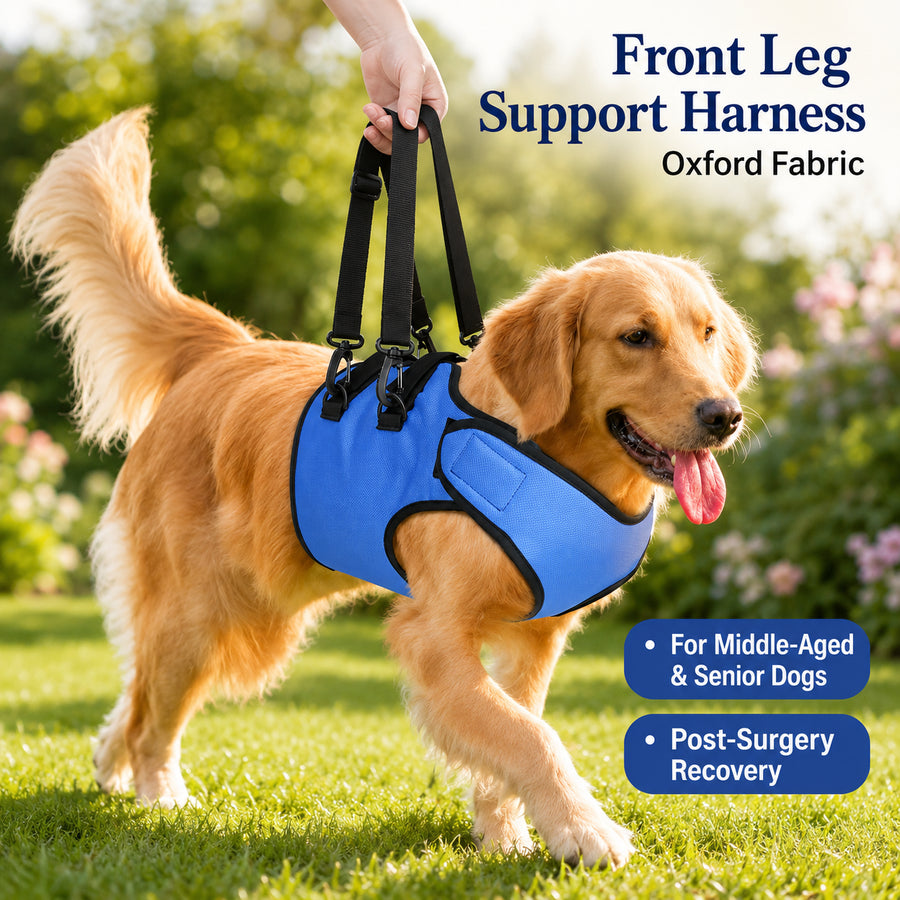 Front Leg Support Harness for Senior & Recovering Dogs