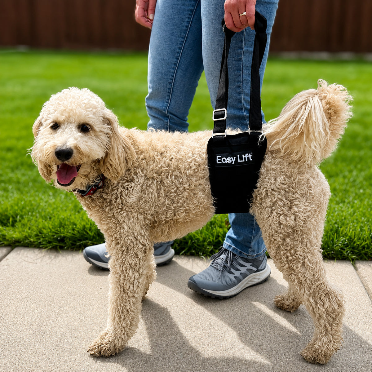 Padded Rear Leg Support Sling Harness