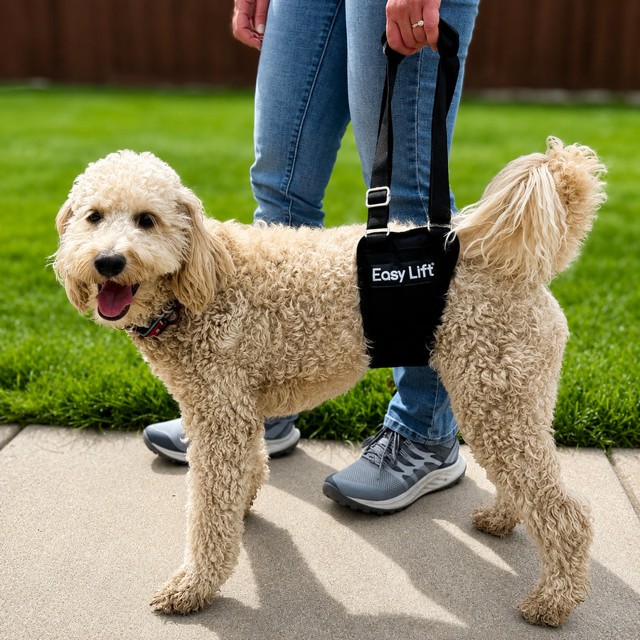 Padded Rear Leg Support Sling Harness