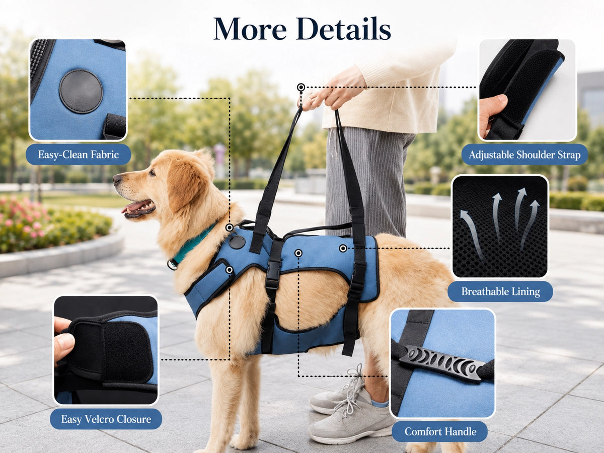 Dog Lift Sling Padded Hind Leg Support Strap
