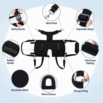 Multi-Handle Full-Body Lift Harness