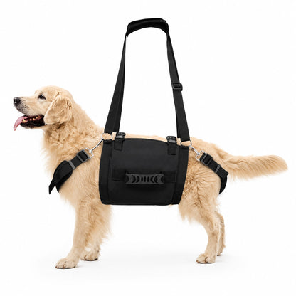 Multi-Handle Full-Body Lift Harness