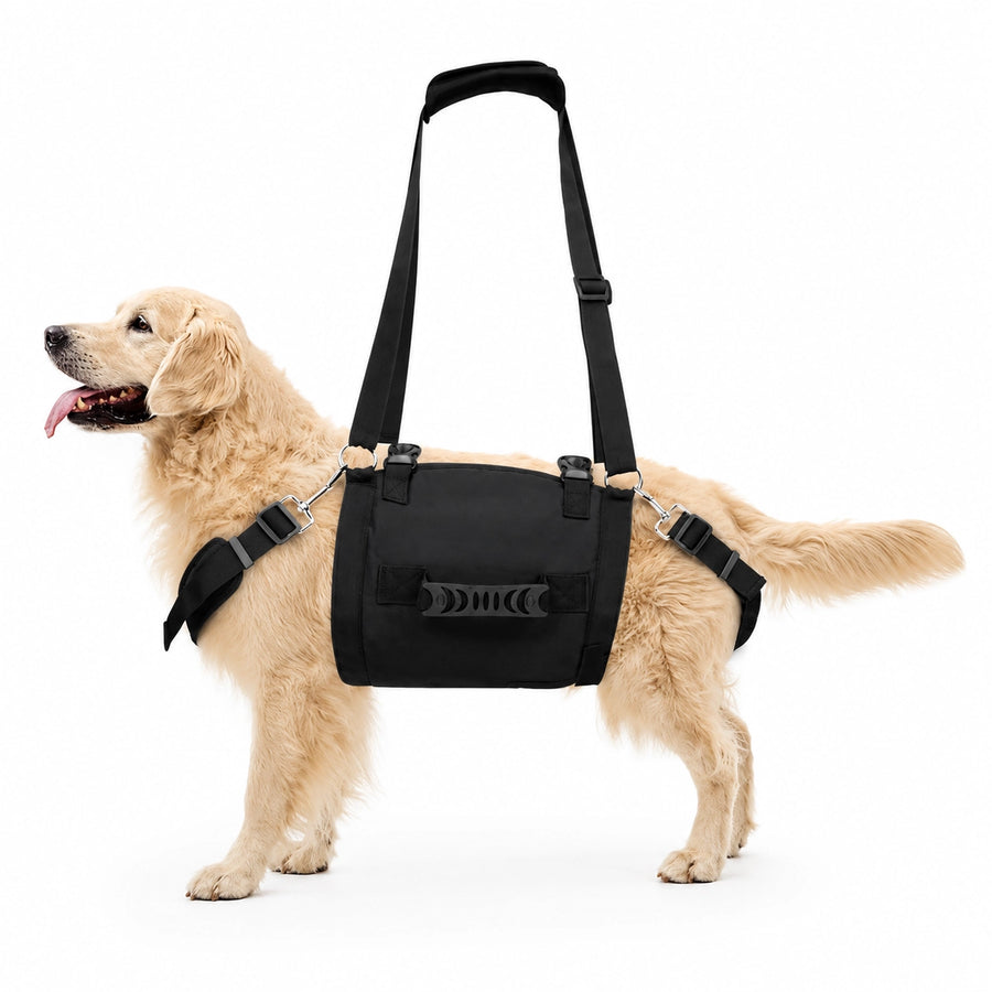 Multi-Handle Full-Body Lift Harness