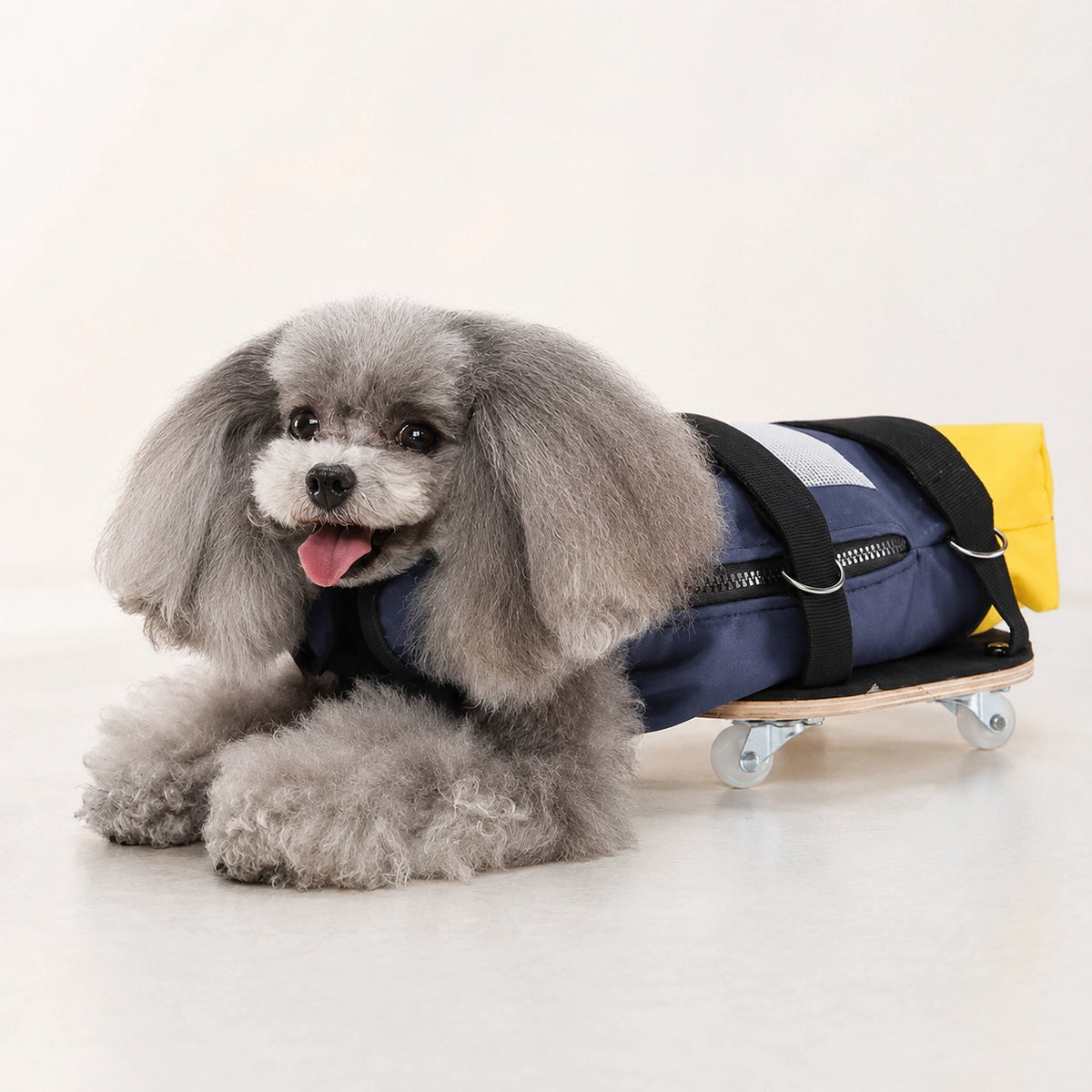 Dog Rolling Drag Bag Scooter Set for Disabled Pets