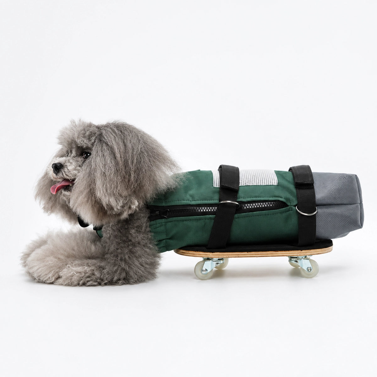 Dog Rolling Drag Bag Scooter Set for Disabled Pets