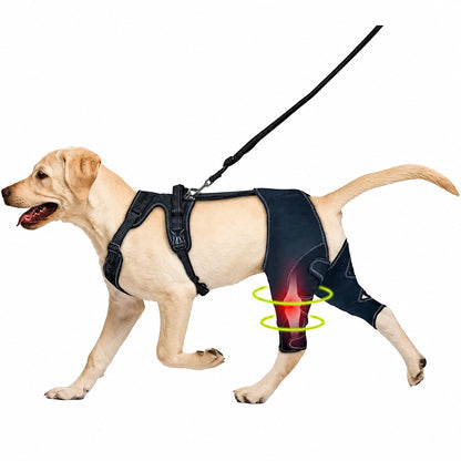 Dog Knee Brace Anti-Slip Support Harness