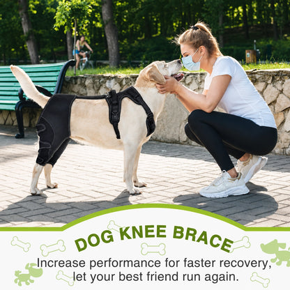 Dog Knee Brace Anti-Slip Support Harness