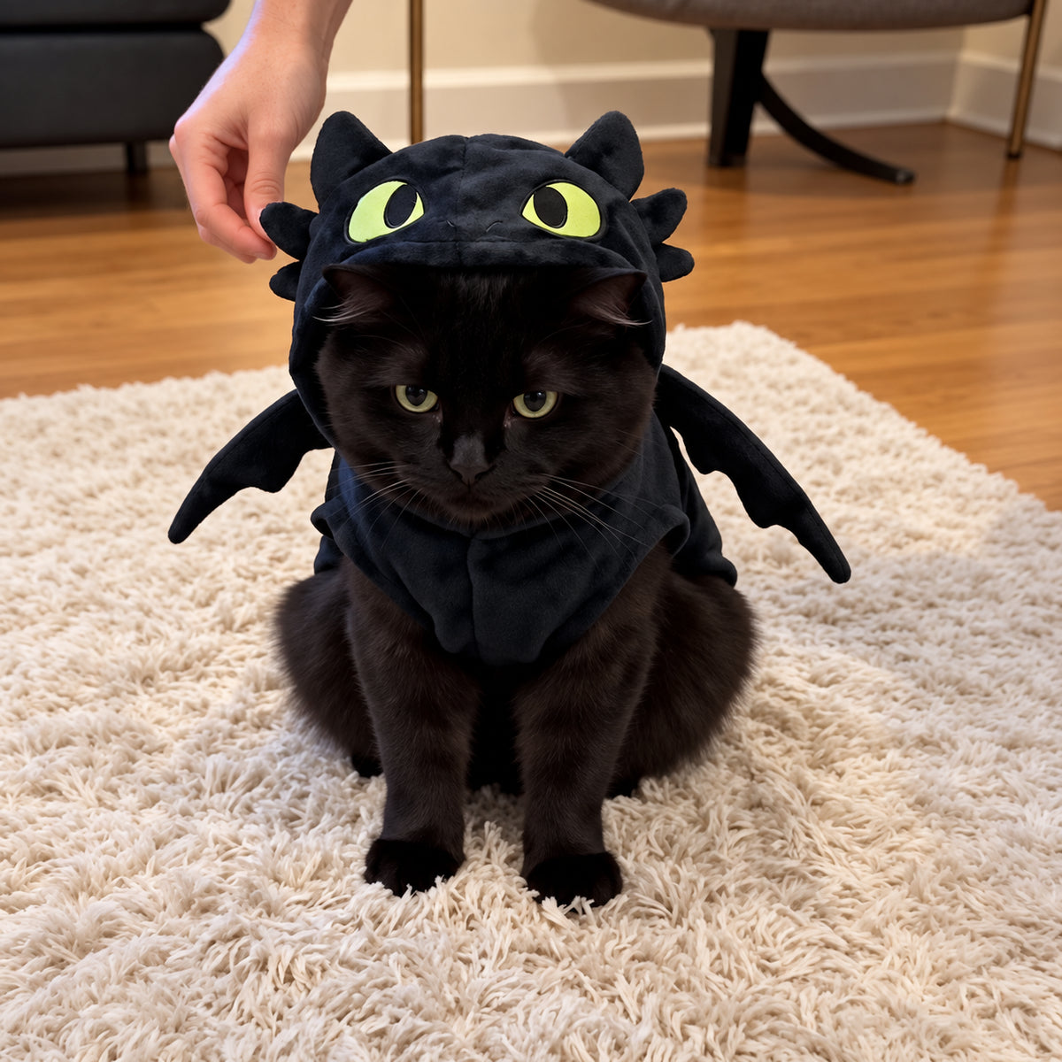Halloween Dragon Pet Costume Hoodie