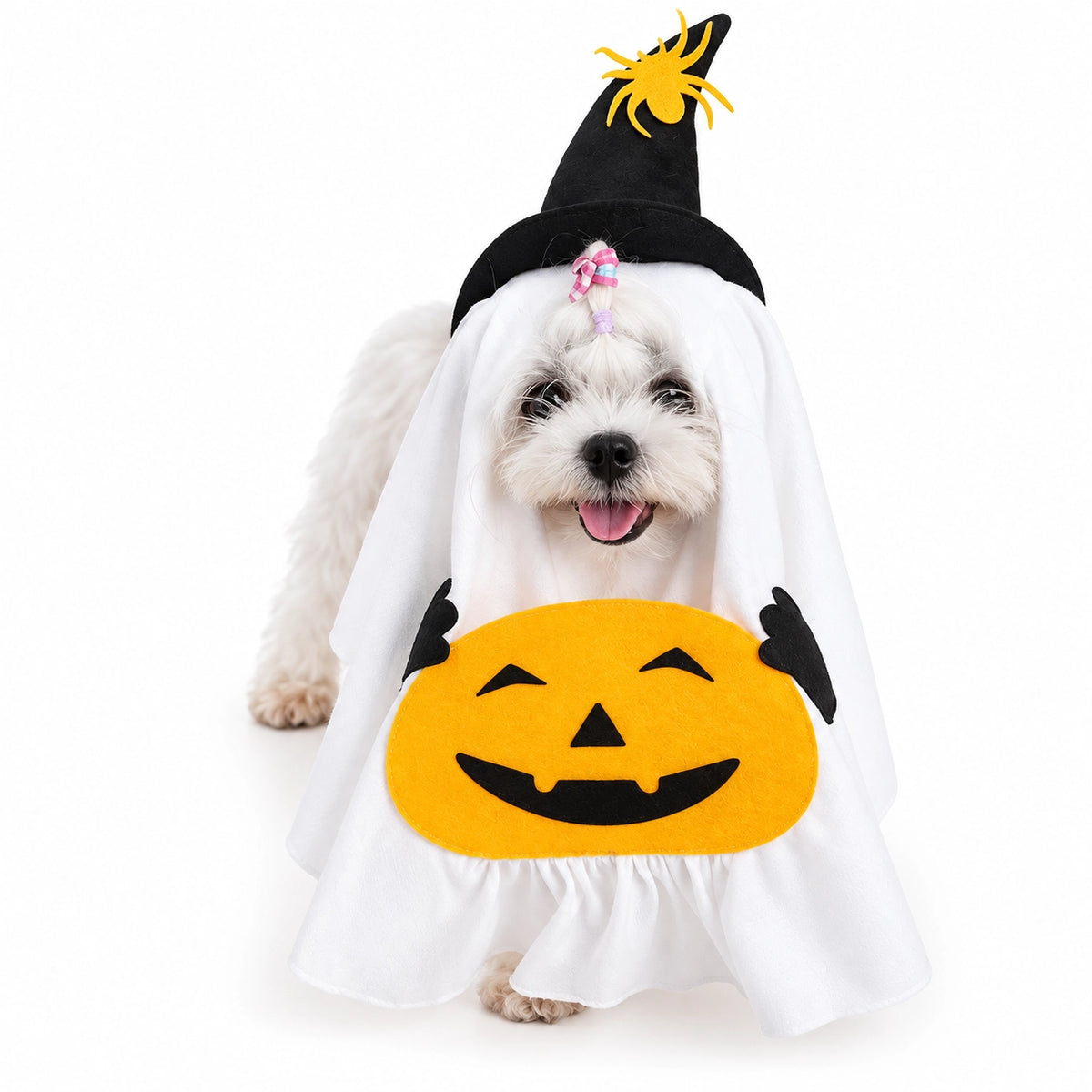 Halloween Witch Ghost Pumpkin Pet Costume