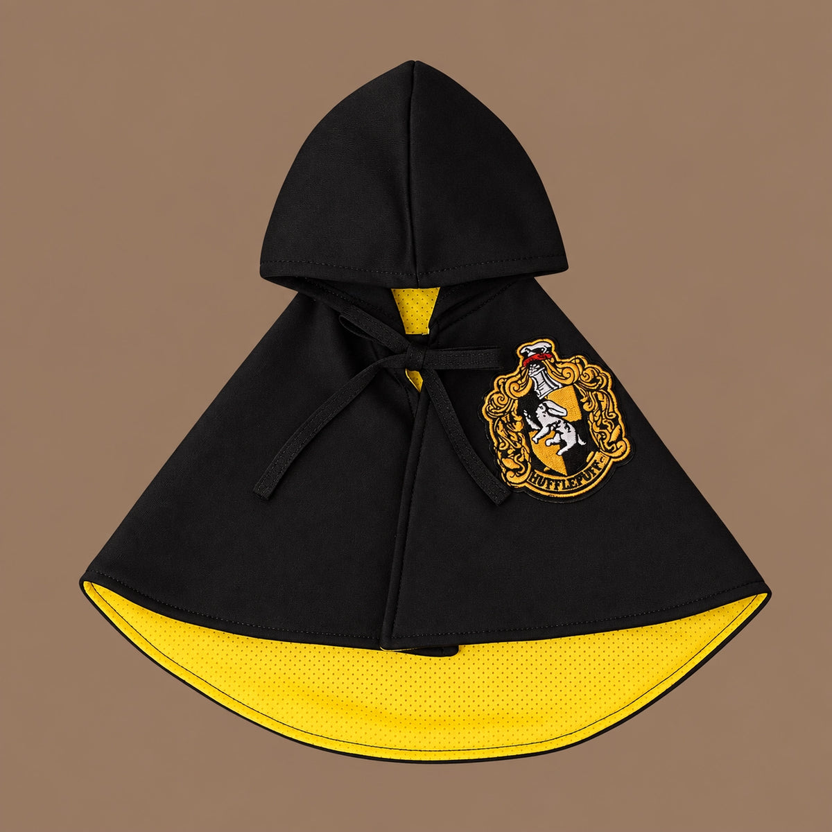 Halloween Wizard Academy Pet Cape Costume