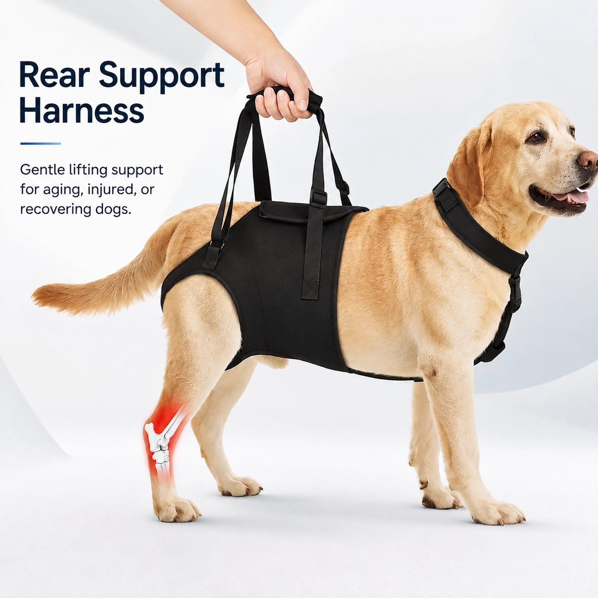 Rear Leg Support Harness for Senior Dogs