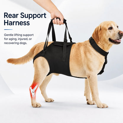 Rear Leg Support Harness for Senior Dogs