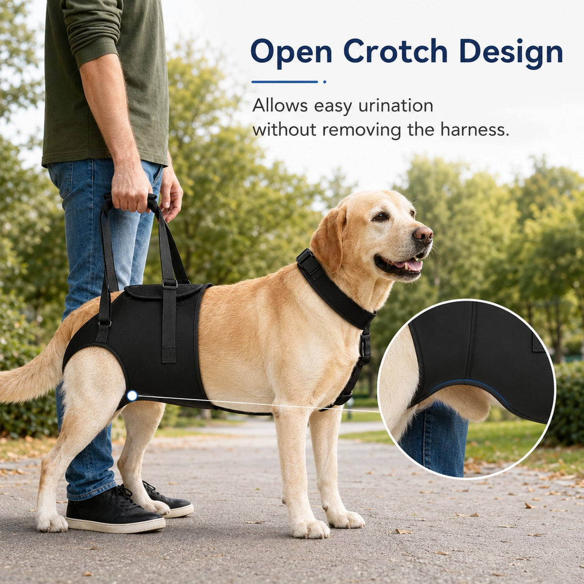 Rear Leg Support Harness for Senior Dogs