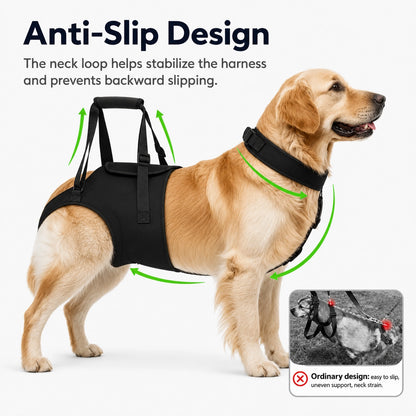 Rear Leg Support Harness for Senior Dogs