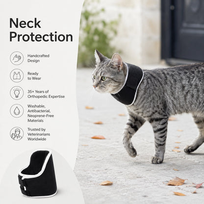 Orthopedic Recovery Neck Brace for Cats