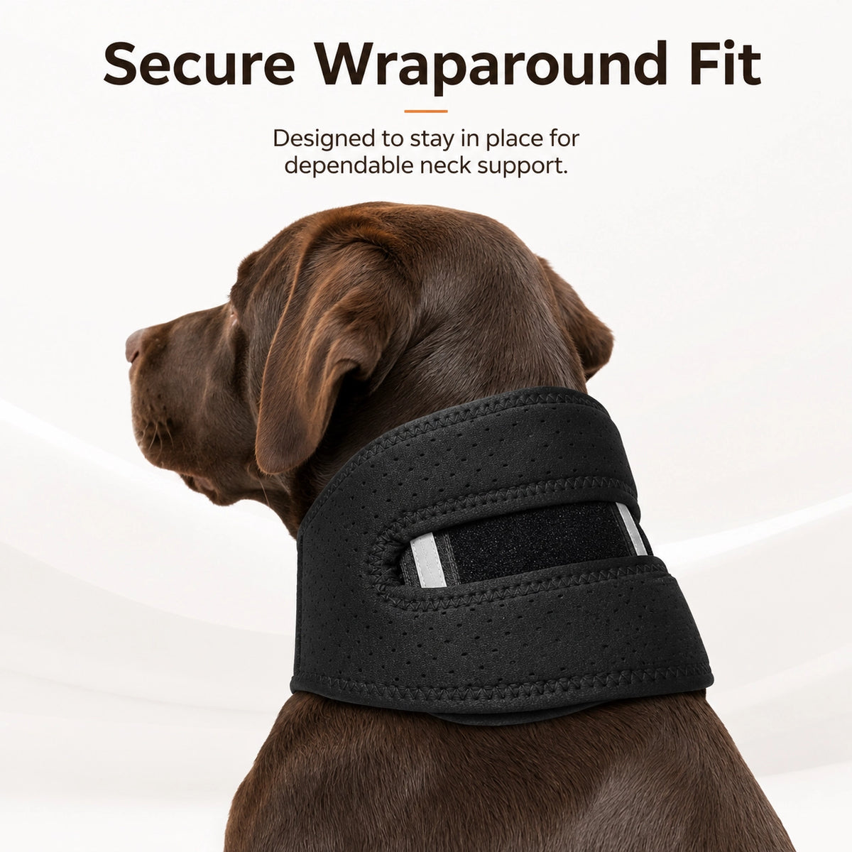 Dog Adjustable Neck Support Collar