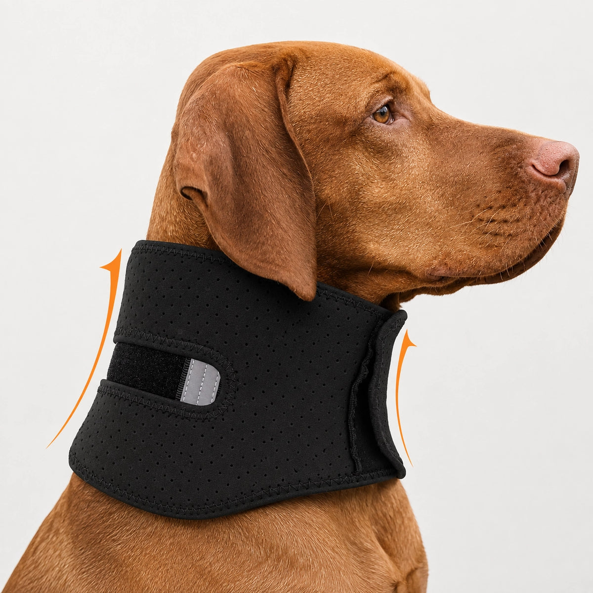 Dog Adjustable Neck Support Collar