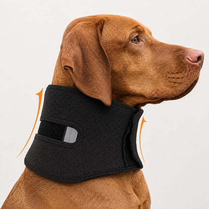 Dog Adjustable Neck Support Collar