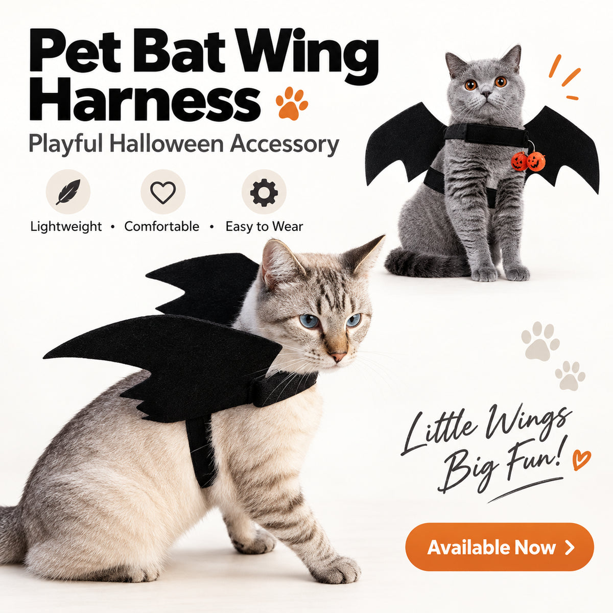 Halloween Bat Wings Pet Harness