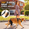 Black(Includes leash)