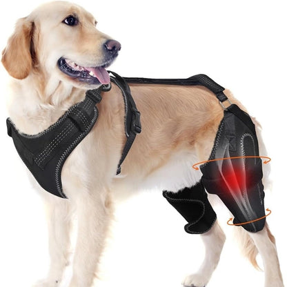 Reflective Rear Leg Support Harness