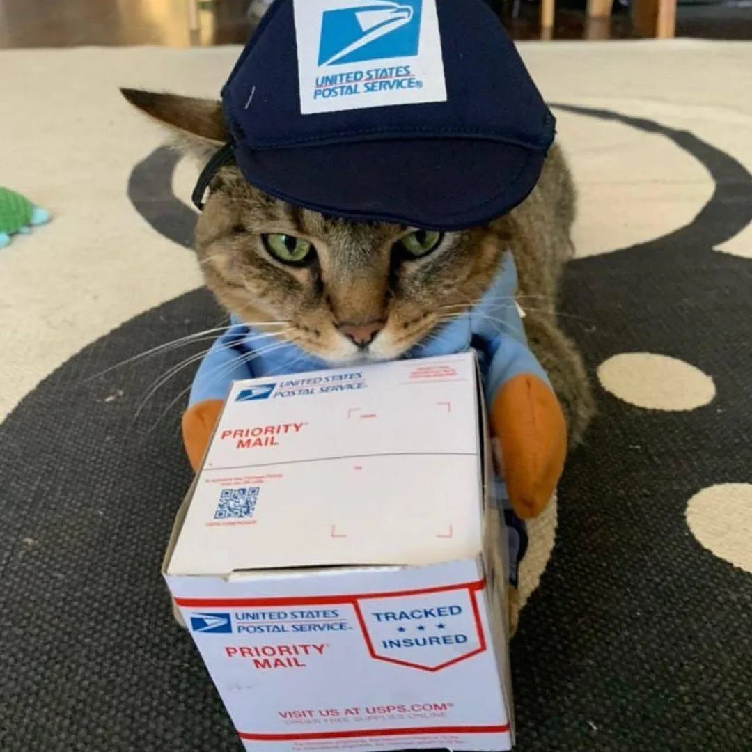 Halloween Mailman Delivery Pet Costume