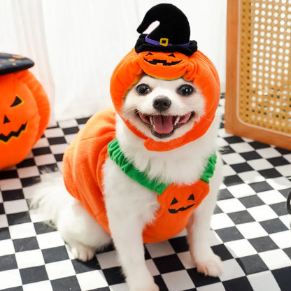 Plush Halloween Pumpkin Pet Costume