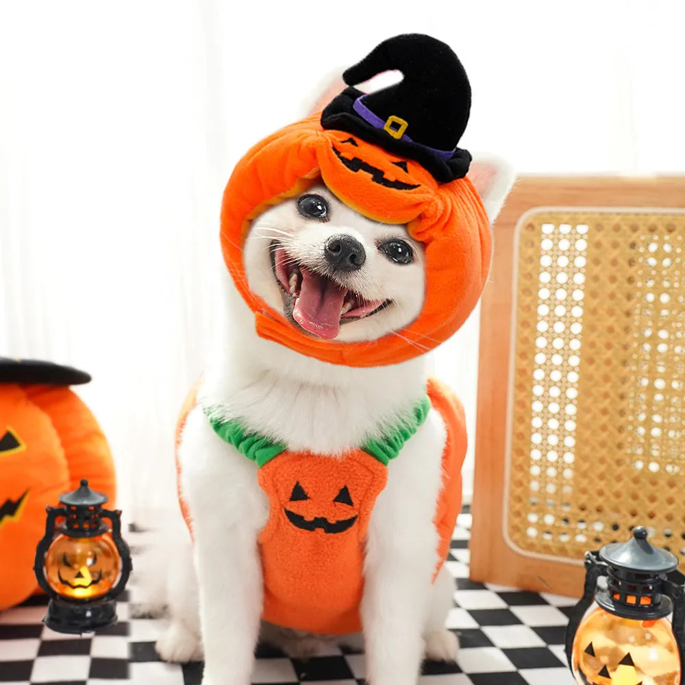 Plush Halloween Pumpkin Pet Costume