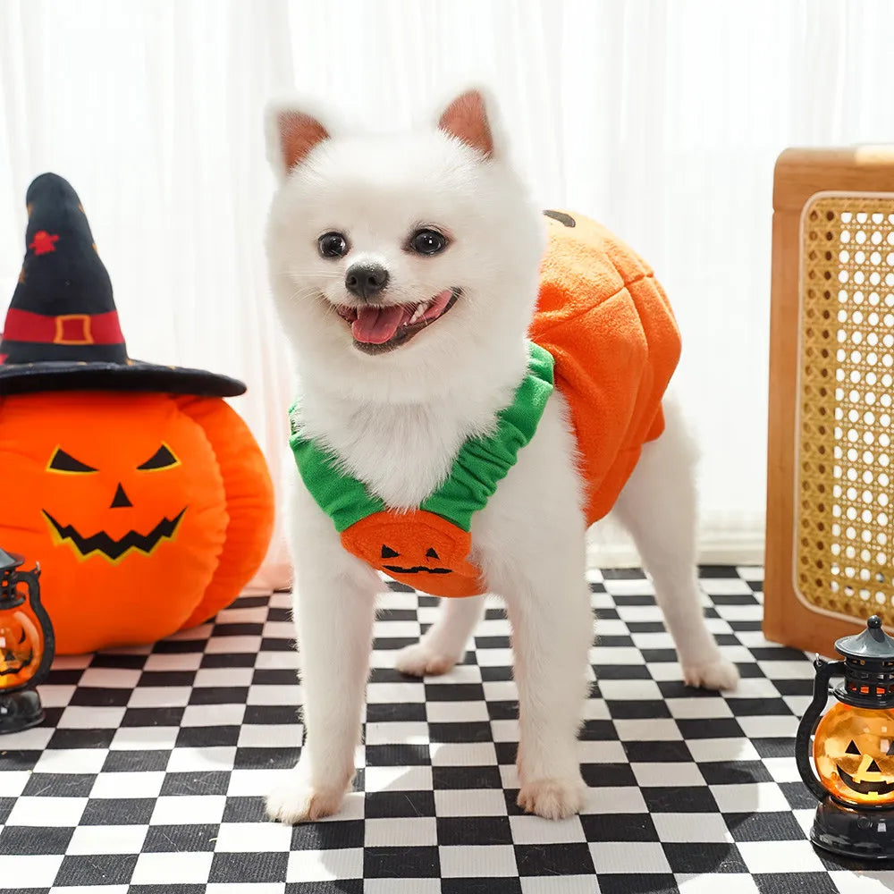 Plush Halloween Pumpkin Pet Costume