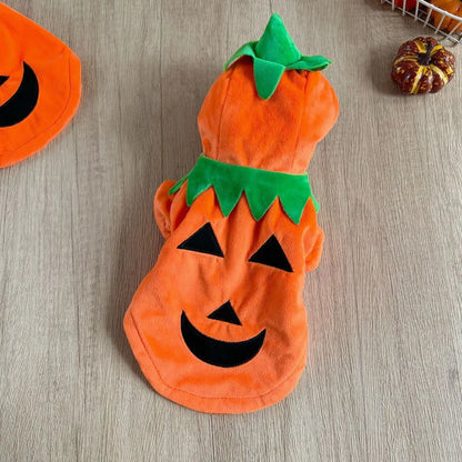 Classic Plush Pumpkin Pet Hoodie
