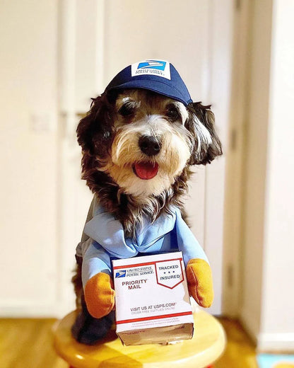 Halloween Mailman Delivery Pet Costume