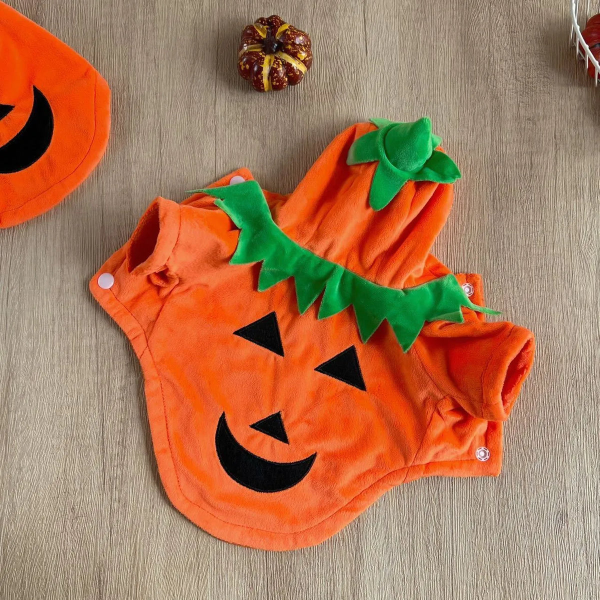 Classic Plush Pumpkin Pet Hoodie