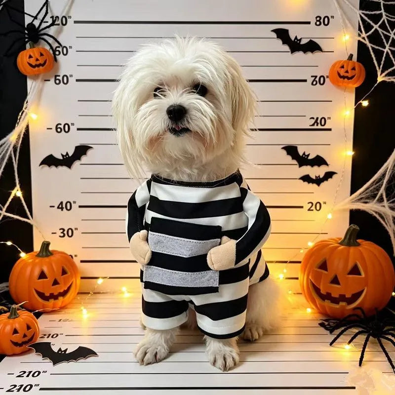 Halloween Prisoner Pet Costume