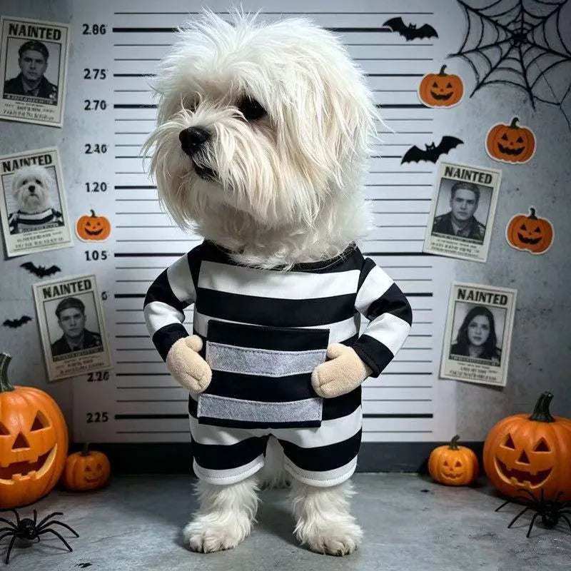Halloween Prisoner Pet Costume