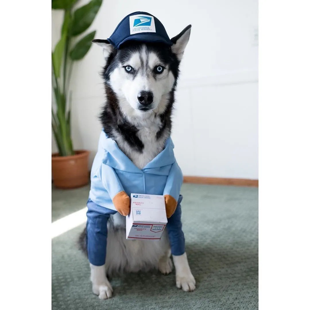 Halloween Mailman Delivery Pet Costume