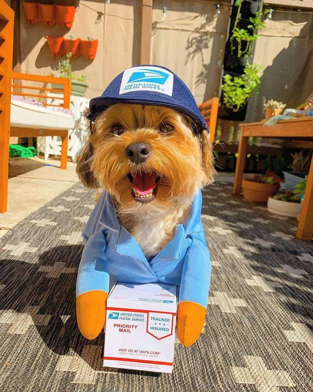 Halloween Mailman Delivery Pet Costume