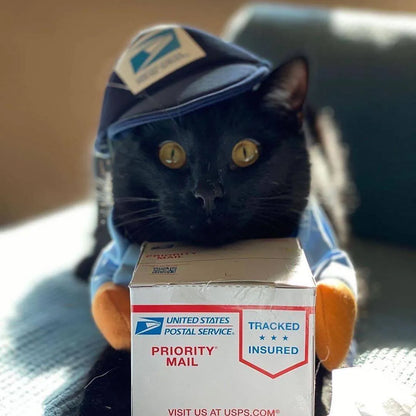 Halloween Mailman Delivery Pet Costume