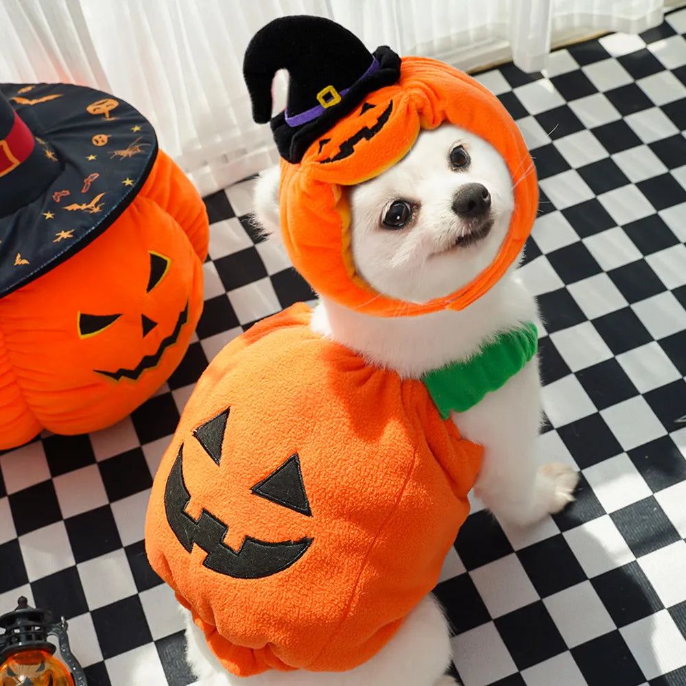 Plush Halloween Pumpkin Pet Costume