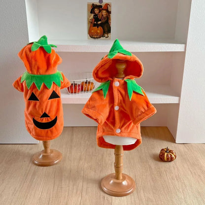 Classic Plush Pumpkin Pet Hoodie