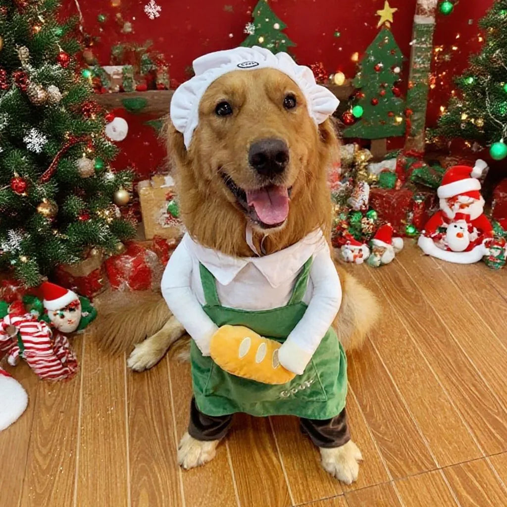 Halloween Baker Chef Pet Costume