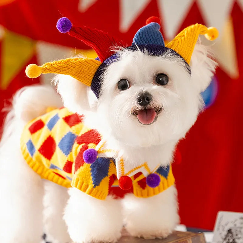Halloween Jester Circus Pet Knit Sweater