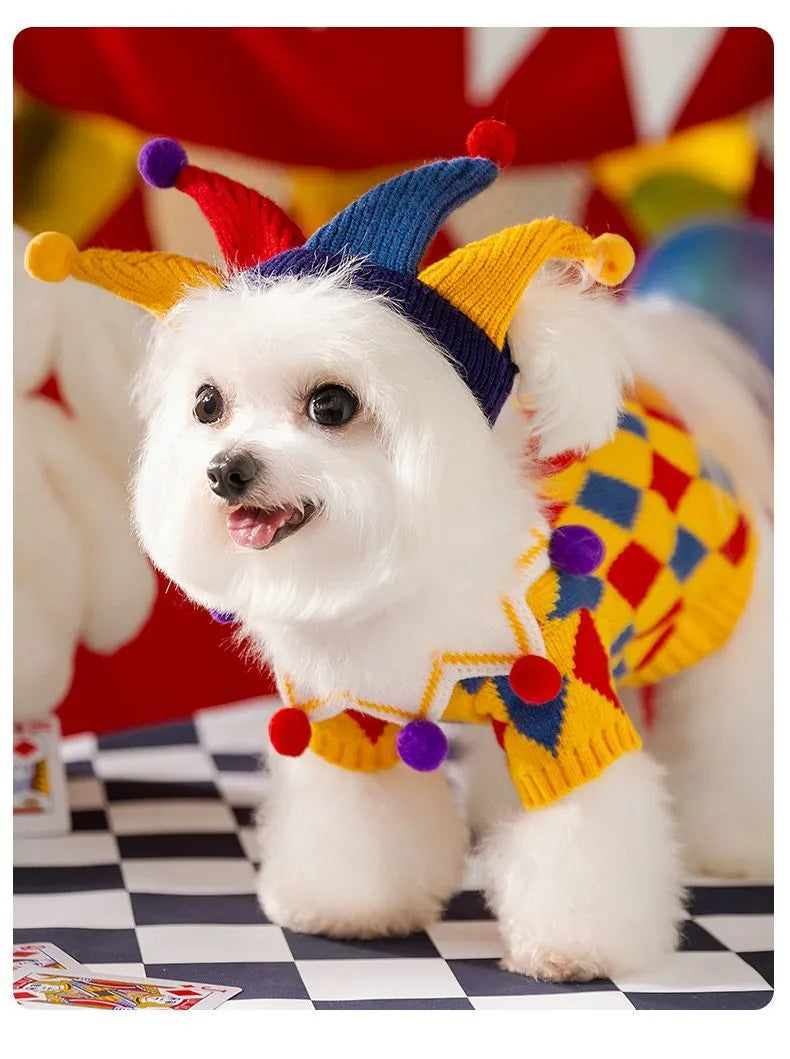 Halloween Jester Circus Pet Knit Sweater