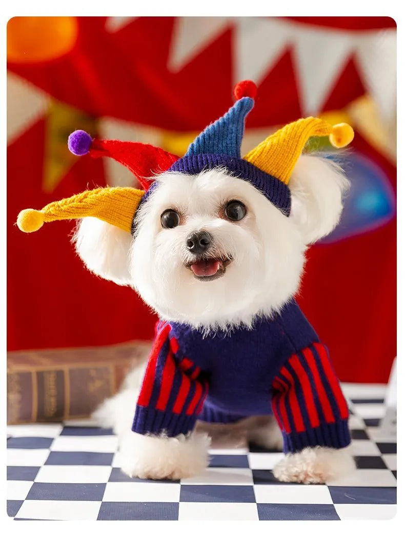 Halloween Jester Circus Pet Knit Sweater
